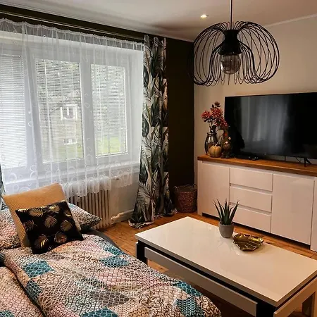 Krasny Byt V Sirsom Centre Mesta Knm Apartment Kysucke Nove Mesto